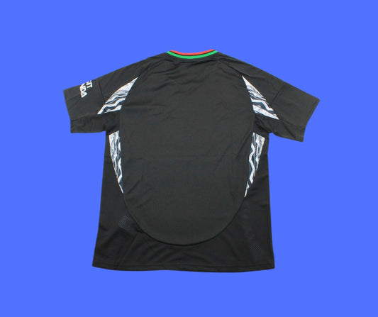 Arsenal Visita - 24/25