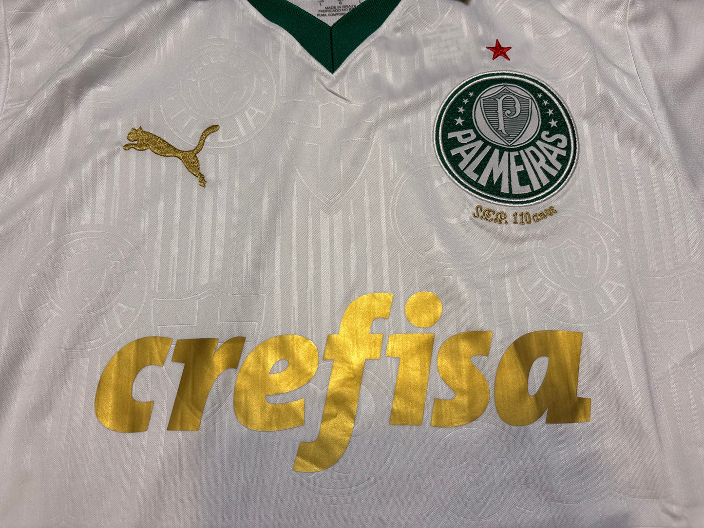 Palmeiras Visita 24/25 - EXPRESS