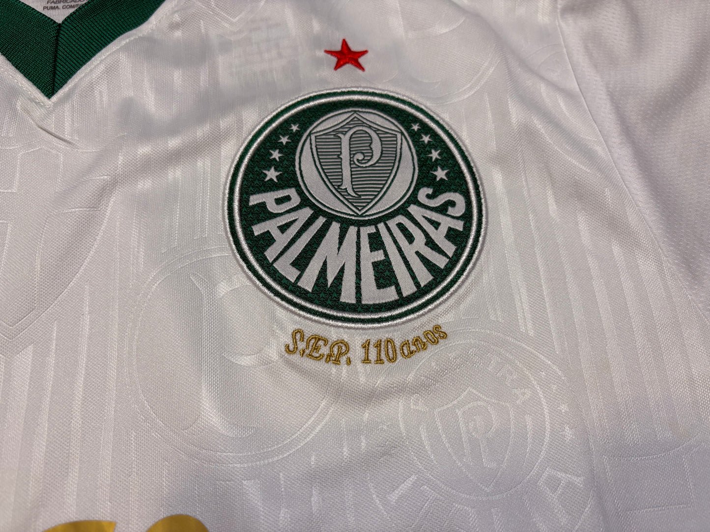Palmeiras Visita 24/25 - EXPRESS