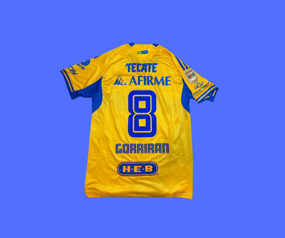 Tigres Local 25/26 - Express