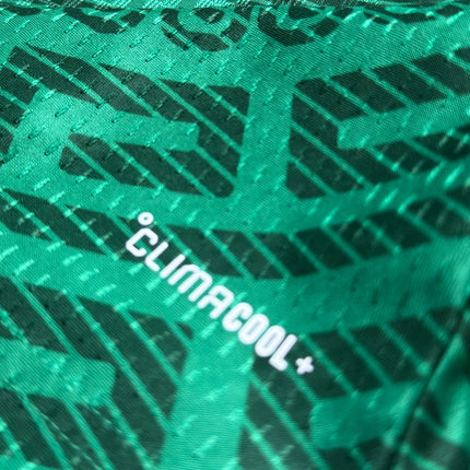 Mexico Local 2026 - EXPRESS