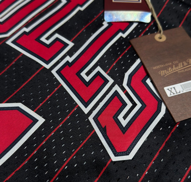 Bulls 95 Alt NBA Swingman - EXPRESS