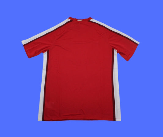 Arsenal-2008/2009 Local