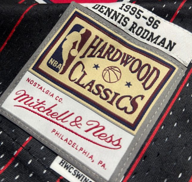 Bulls 95 Alt NBA Swingman - EXPRESS