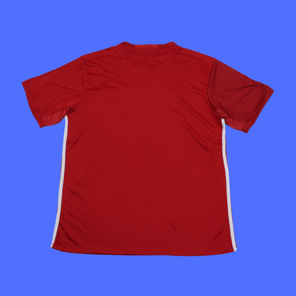 Manchester United Local - 16/17