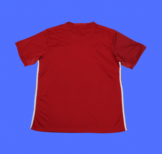 Manchester United Local - 16/17