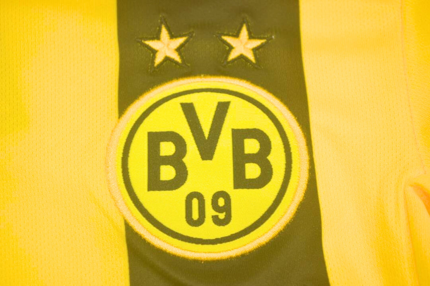 Dortmund™ 2013 UCL