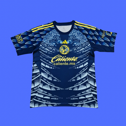 America visita - 25/26