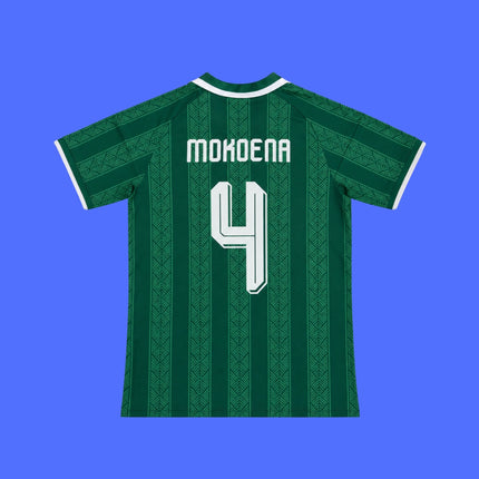 Sudafrica Visita Mundial - 2026