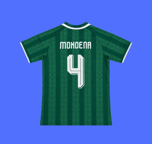 Sudafrica Visita Mundial - 2026