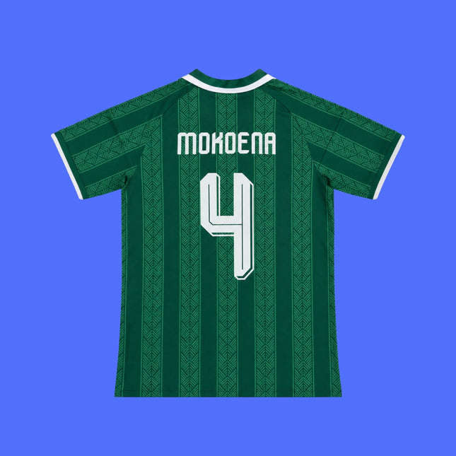 Sudafrica Visita Mundial - 2026