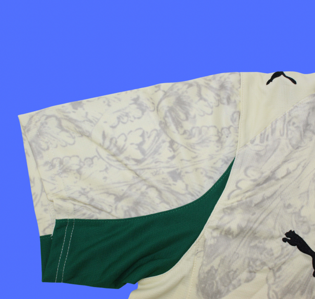 Palmeiras mundial de clubes - 25/26