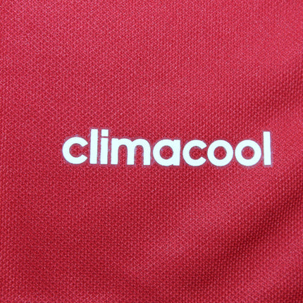 Manchester United Local - 16/17