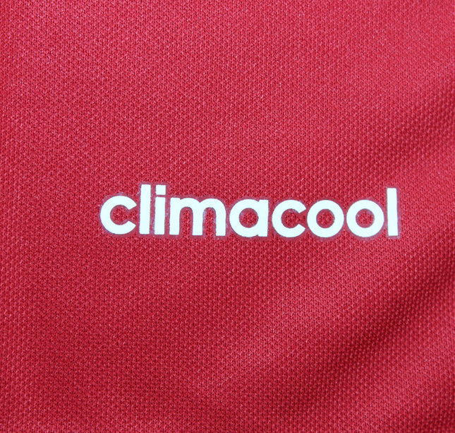 Manchester United Local - 16/17